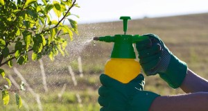 Meststof en insecticiden mengen:een uitgebreide gids 