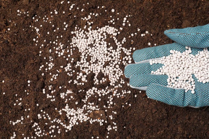 Groene grond in de tuin:oorzaken, oplossingen en preventie 