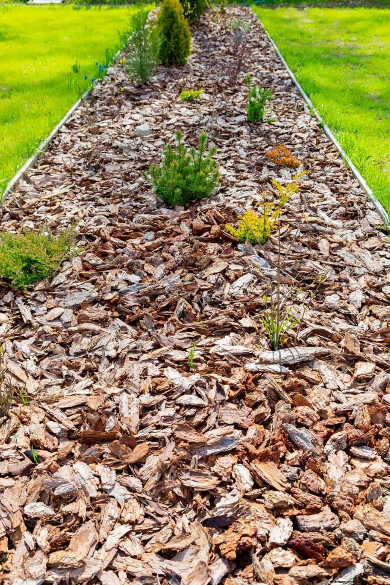 Machen Sie Ihren Garten winterfest:Ein Leitfaden zum Mulchen im Herbst zum Pflanzenschutz 