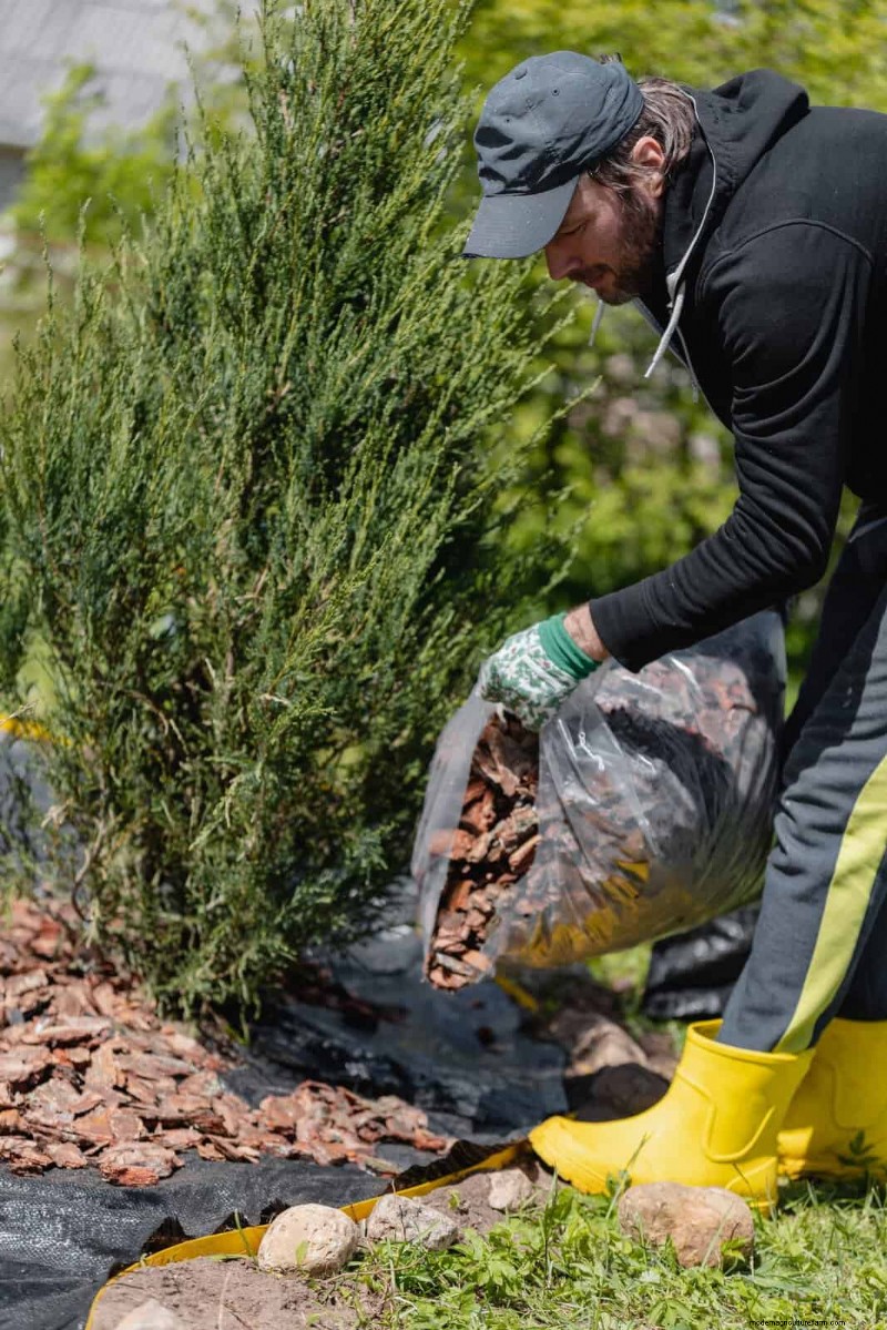 Machen Sie Ihren Garten winterfest:Ein Leitfaden zum Mulchen im Herbst zum Pflanzenschutz 