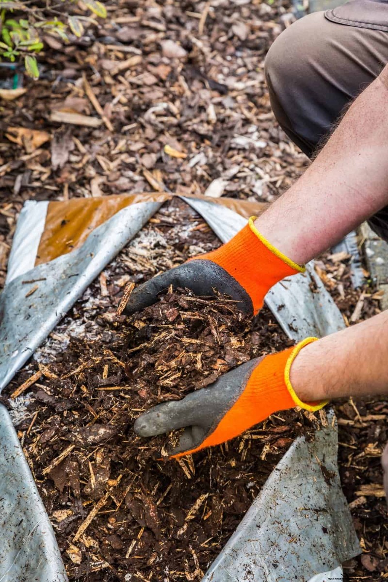 Machen Sie Ihren Garten winterfest:Ein Leitfaden zum Mulchen im Herbst zum Pflanzenschutz 