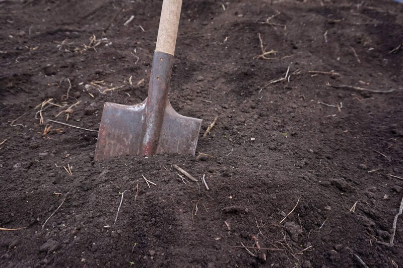 Unverzichtbare Gartengeräte für den Herbst:Bereiten Sie Ihren Garten auf den Winter vor 