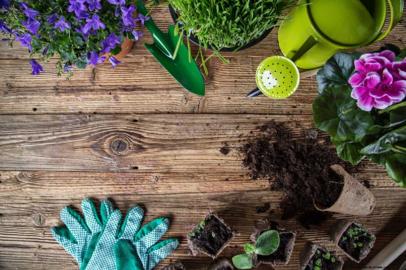 Unverzichtbare Gartengeräte für den Herbst:Bereiten Sie Ihren Garten auf den Winter vor 