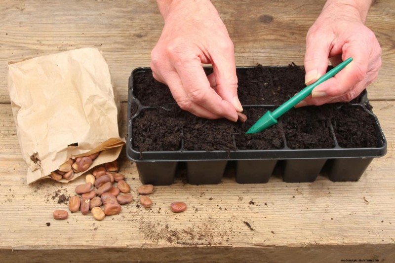Unverzichtbare Gartengeräte für den Herbst:Bereiten Sie Ihren Garten auf den Winter vor 