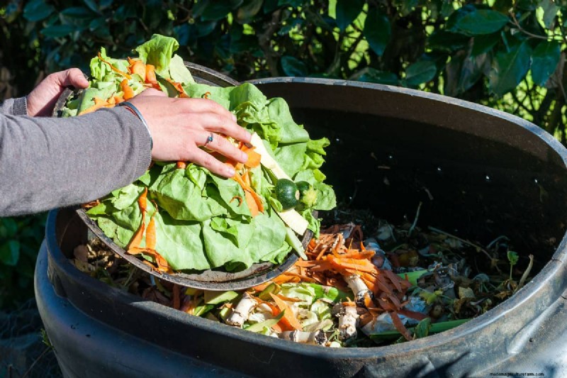 Unverzichtbare Gartengeräte für den Herbst:Bereiten Sie Ihren Garten auf den Winter vor 