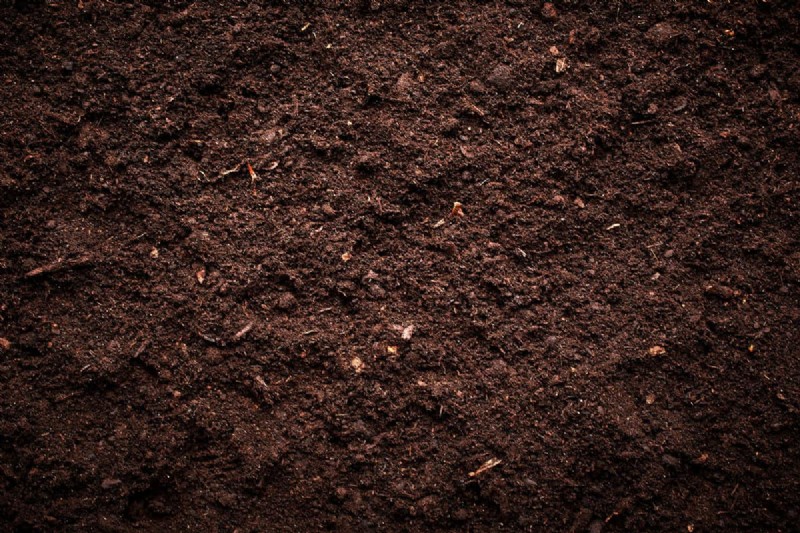 Prolunga il tuo raccolto:6 consigli per un orto autunnale di successo 