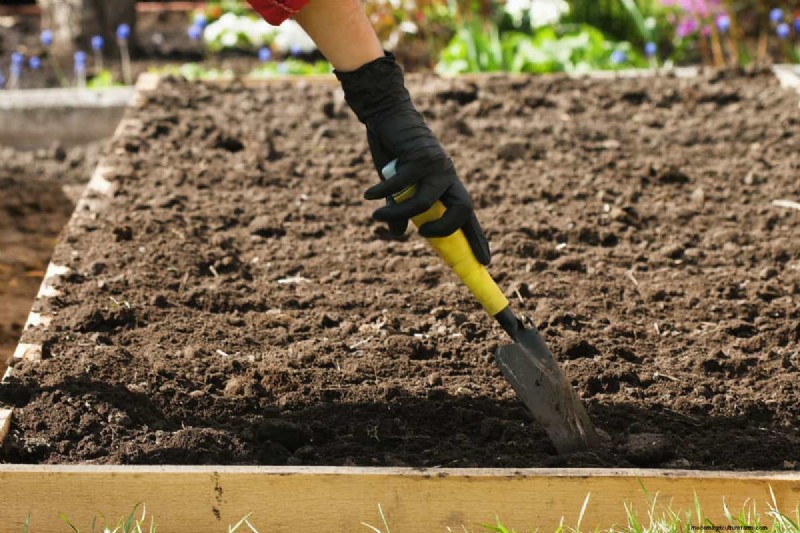 Bescherm uw tuin:10 herfstgrondhacks om vorstschade te voorkomen 