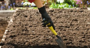 Bescherm uw tuin:10 herfstgrondhacks om vorstschade te voorkomen 