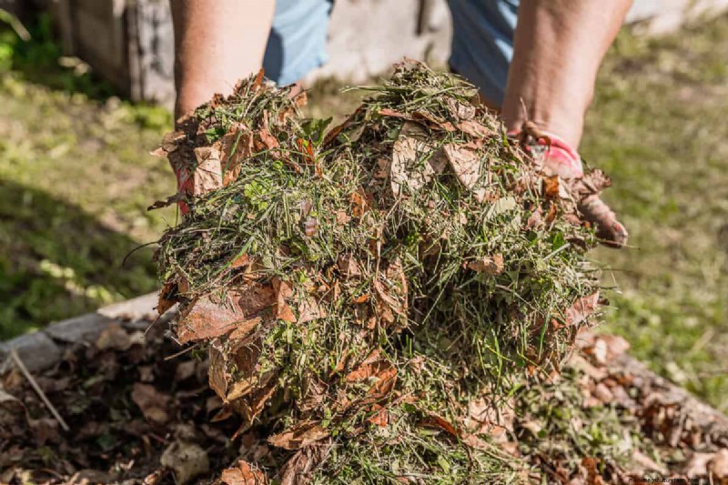 Composteren van herfstbladeren:een complete gids voor bodemverrijking 