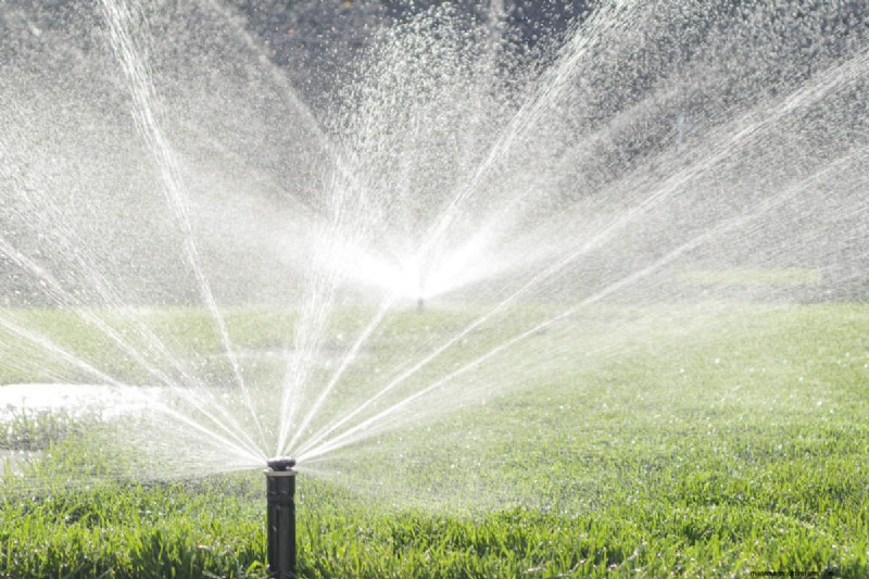 Bescherm uw tuin:8 effectieve afschrikmiddelen en preventiestrategieën voor konijnen 