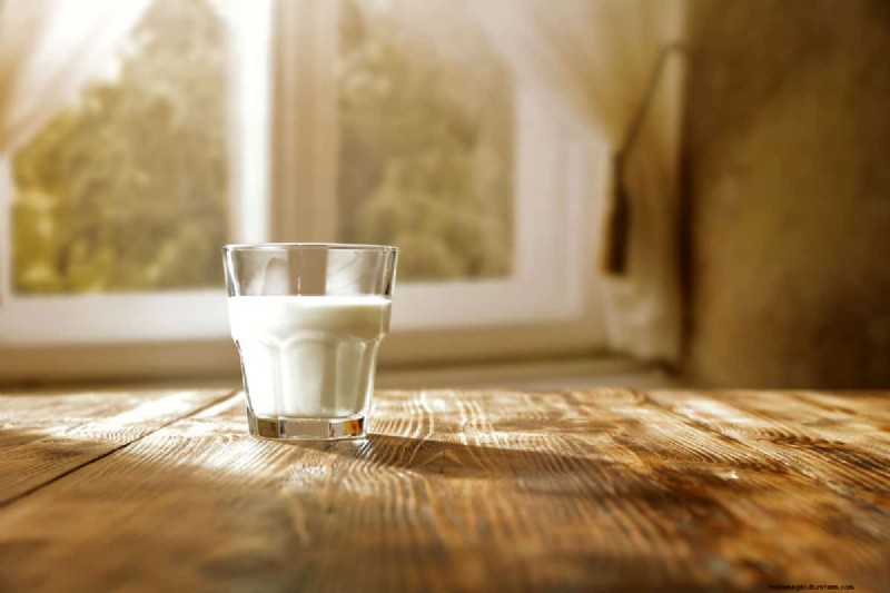 Latte come fertilizzante:vantaggi e svantaggi per il terreno del giardino 