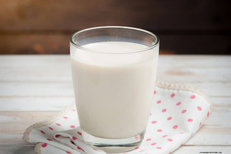 Latte come fertilizzante:vantaggi e svantaggi per il terreno del giardino 
