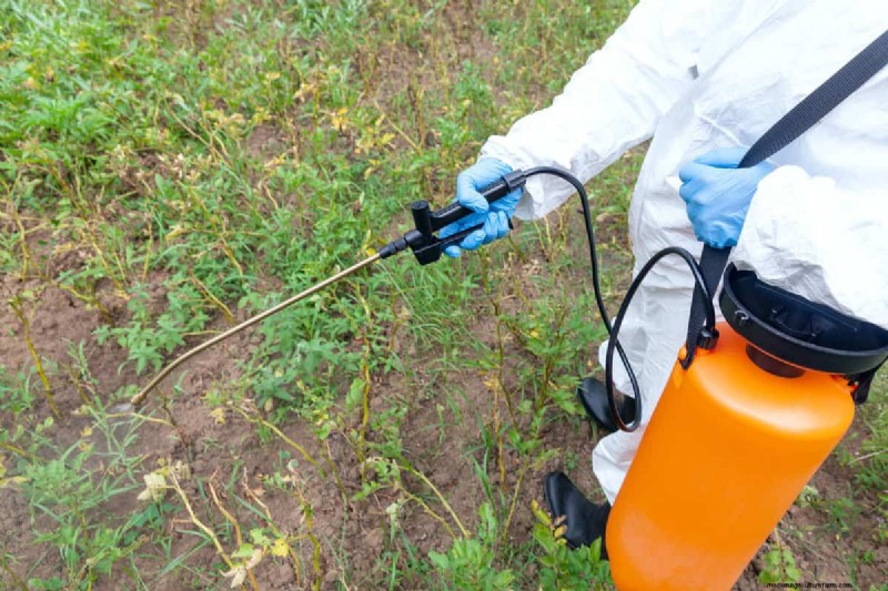 Latte come fertilizzante:vantaggi e svantaggi per il terreno del giardino 