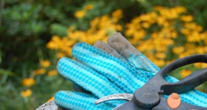 Gartenschere schärfen:Effektive DIY-Methoden für optimales Schneiden 