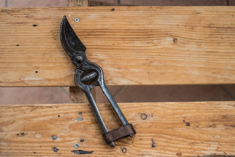 庭鋏を研ぐ:最適な切断のための効果的な DIY 方法 