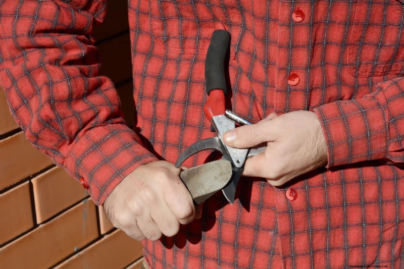 庭鋏を研ぐ:最適な切断のための効果的な DIY 方法 