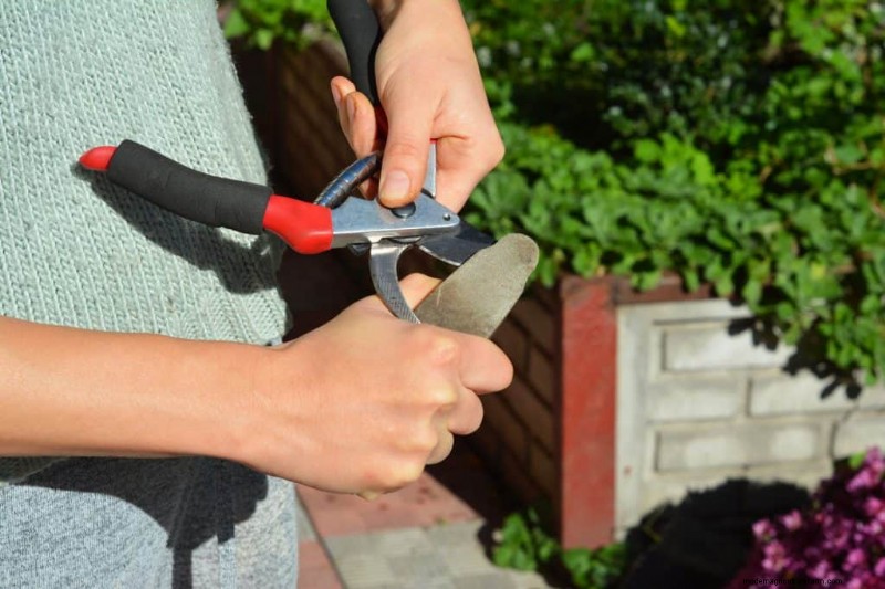 庭鋏を研ぐ:最適な切断のための効果的な DIY 方法 