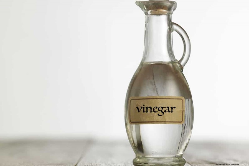 ブルーベリーの土壌 pH を最適化する:包括的なガイド 