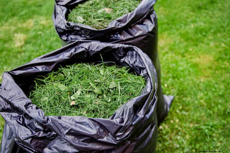 Herfstplantgids:wat u nu moet planten voor een overvloedige oogst 
