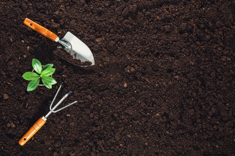 Herfstplantgids:wat u nu moet planten voor een overvloedige oogst 