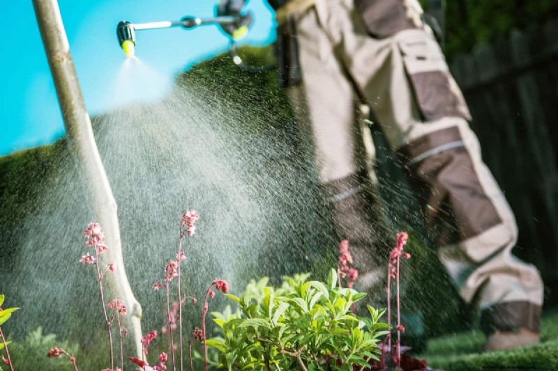 Herfstplantgids:wat u nu moet planten voor een overvloedige oogst 