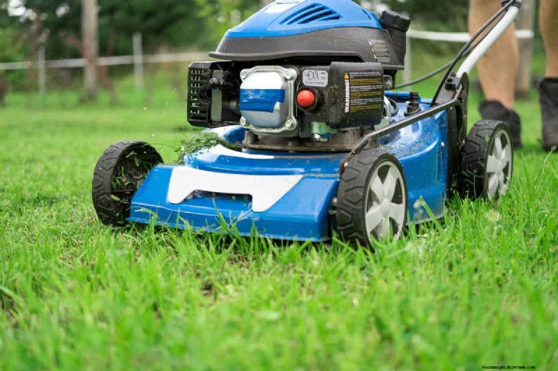Kobalt versus Ryobi-maaiers:een uitgebreide vergelijking (2024) 