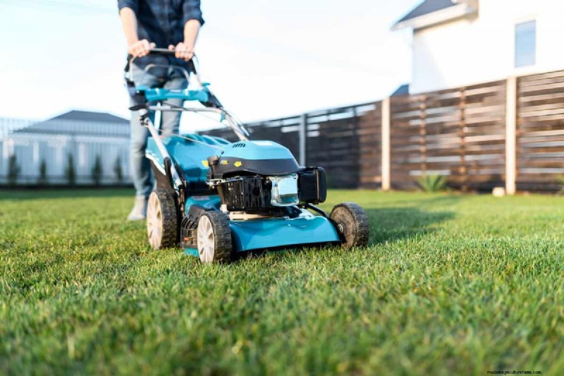 Kobalt versus Ryobi-maaiers:een uitgebreide vergelijking (2024) 