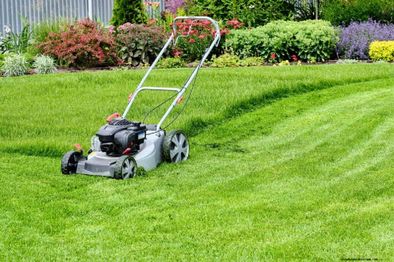 Kobalt versus Ryobi-maaiers:een uitgebreide vergelijking (2024) 
