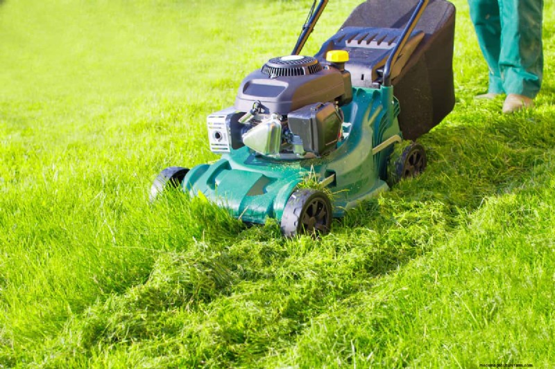 Kobalt versus Ryobi-maaiers:een uitgebreide vergelijking (2024) 