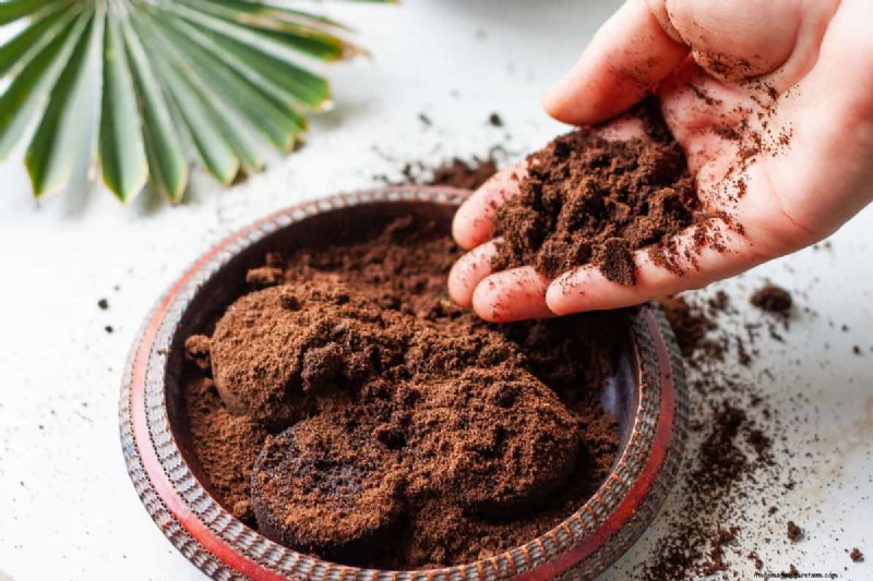 Koffiedik in de tuin:vermijd deze drie veelgemaakte fouten 