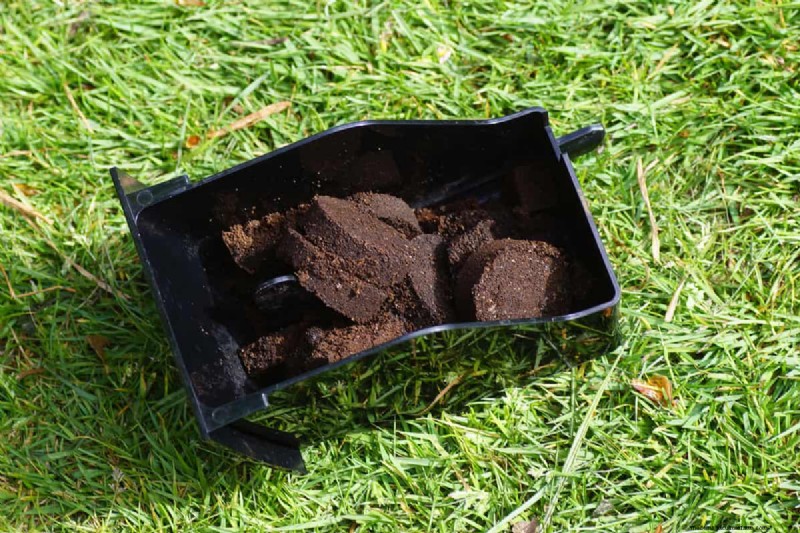 Koffiedik in de tuin:vermijd deze drie veelgemaakte fouten 