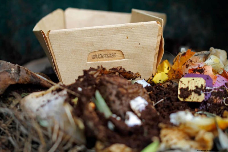 Koffiedik in de tuin:vermijd deze drie veelgemaakte fouten 