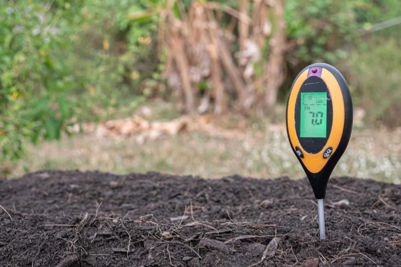 Terreno acido per rododendri:una guida completa per stimolare la crescita 