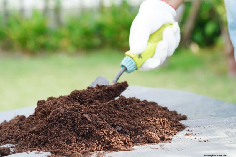 Terreno acido per rododendri:una guida completa per stimolare la crescita 