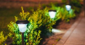 Transformeer uw tuin:7 betoverende verlichtingsideeën 