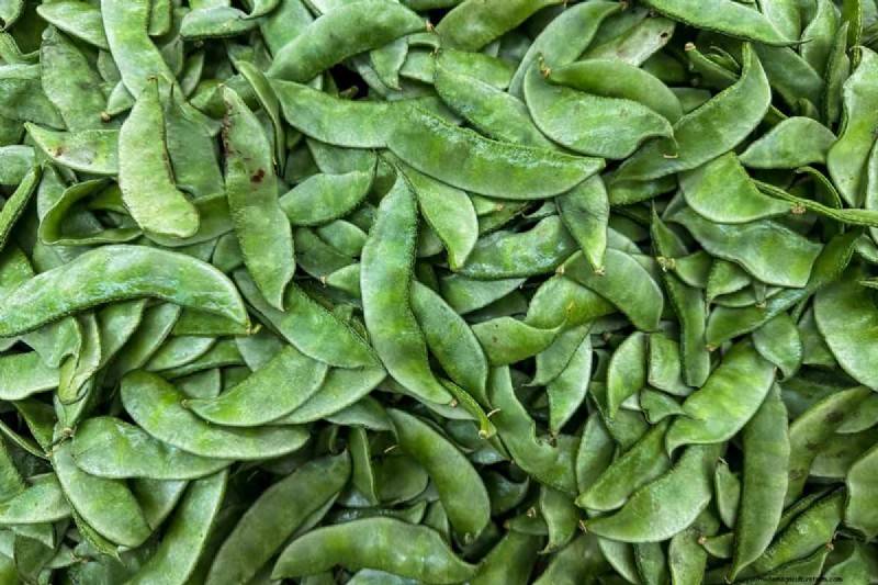 Peulvruchten:een tuinmangids voor 21 variëteiten en bodemgezondheid 