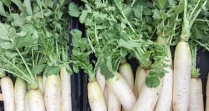 Snelst groeiende groenten:top 11 voor snelle oogsten 