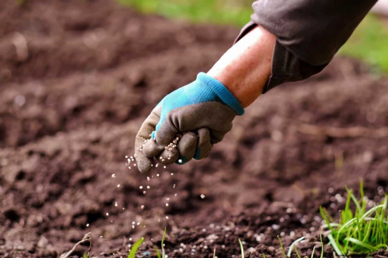 Rapporto NPK:una guida completa ai fertilizzanti per la crescita delle piante 