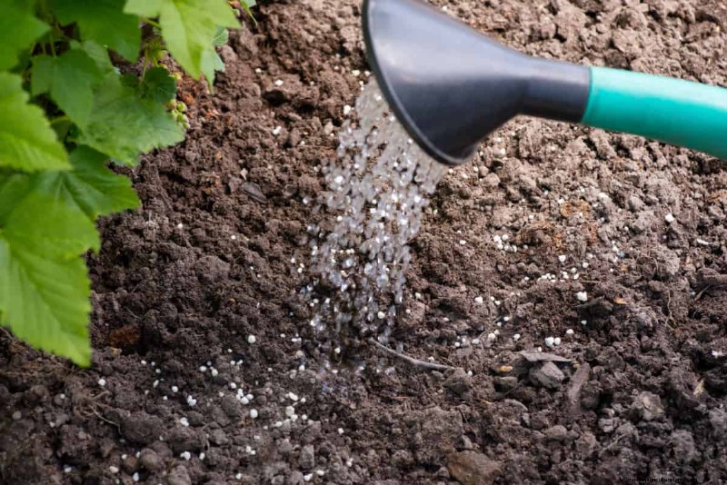 Rapporto NPK:una guida completa ai fertilizzanti per la crescita delle piante 
