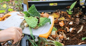 Voordelen van composteren:25 redenen om vandaag te beginnen | Bodemgezondheid en tuintips 