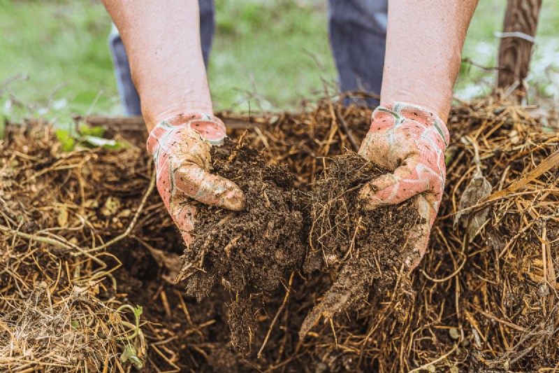 Voordelen van composteren:25 redenen om vandaag te beginnen | Bodemgezondheid en tuintips 