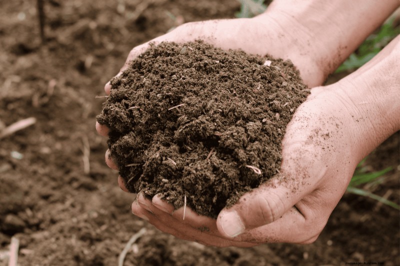 Voordelen van composteren:25 redenen om vandaag te beginnen | Bodemgezondheid en tuintips 