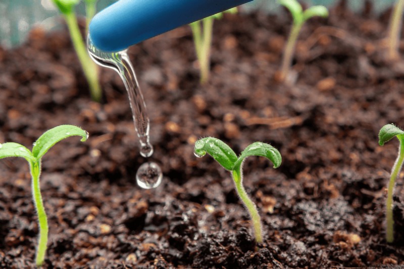 Voordelen van composteren:25 redenen om vandaag te beginnen | Bodemgezondheid en tuintips 