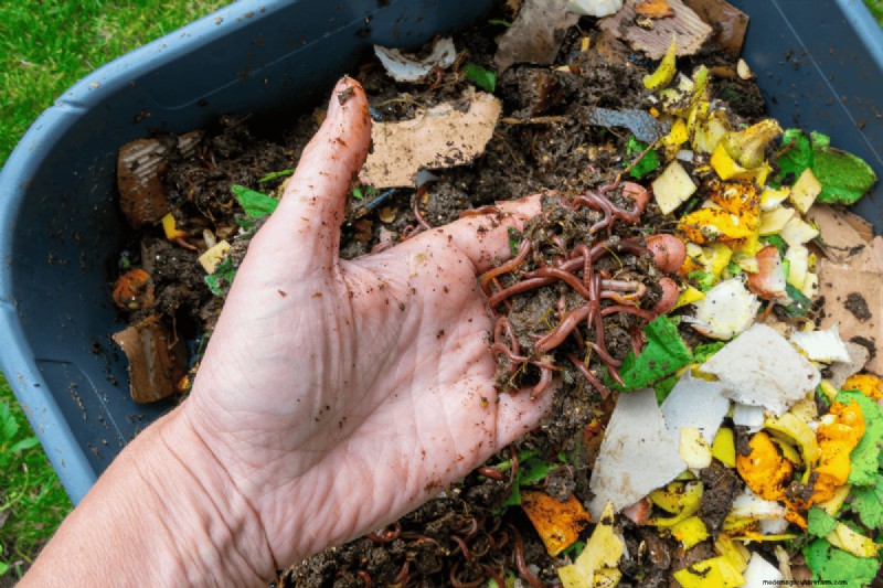 Voordelen van composteren:25 redenen om vandaag te beginnen | Bodemgezondheid en tuintips 