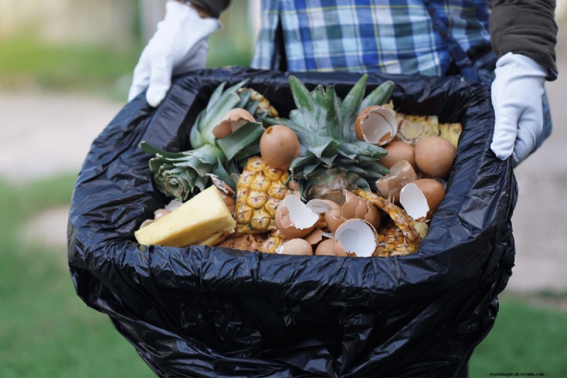 Voordelen van composteren:25 redenen om vandaag te beginnen | Bodemgezondheid en tuintips 