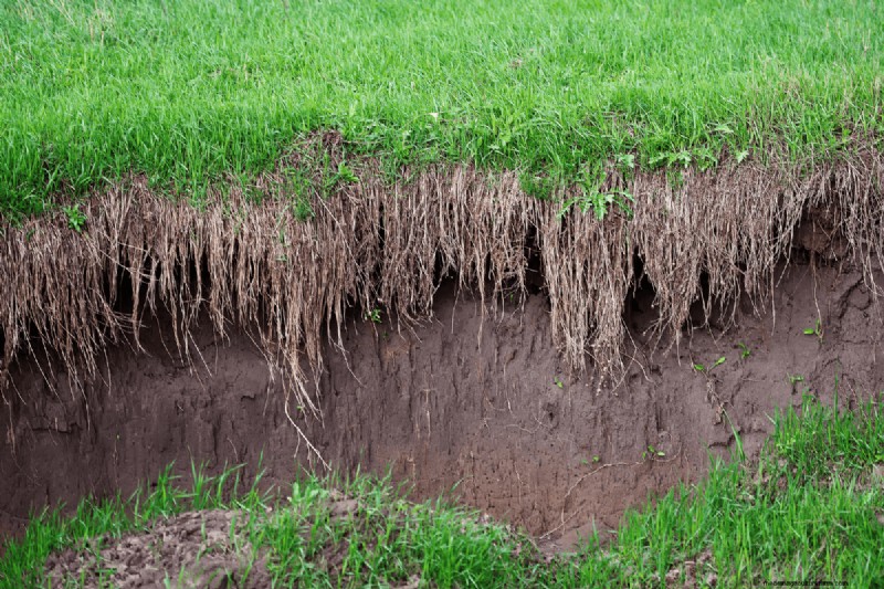 Voordelen van composteren:25 redenen om vandaag te beginnen | Bodemgezondheid en tuintips 