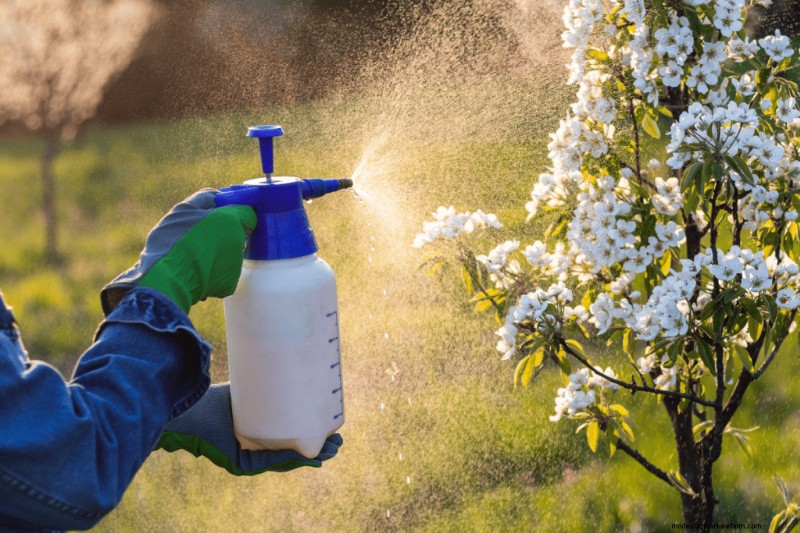 Voordelen van composteren:25 redenen om vandaag te beginnen | Bodemgezondheid en tuintips 