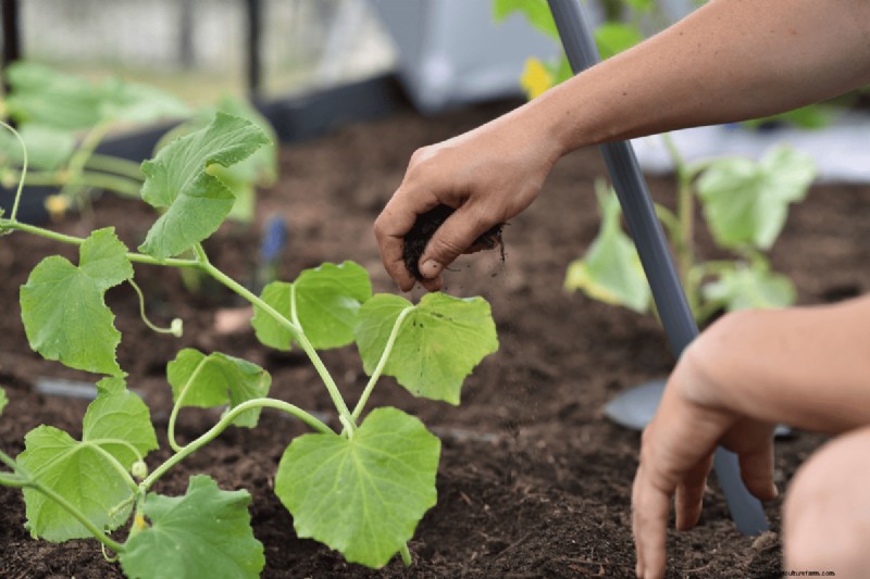 Voordelen van composteren:25 redenen om vandaag te beginnen | Bodemgezondheid en tuintips 