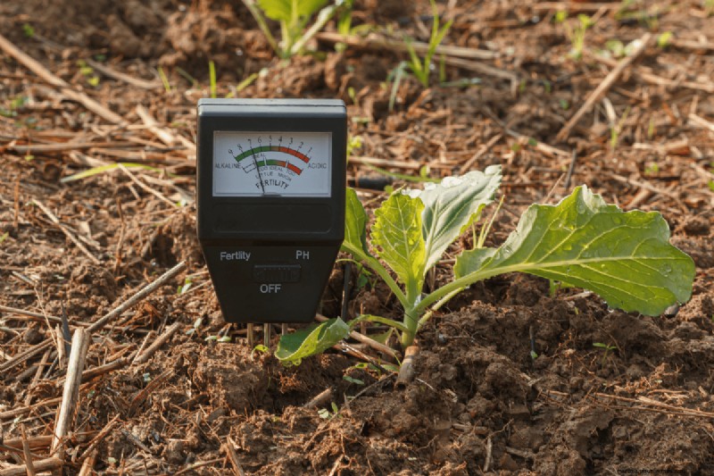 Voordelen van composteren:25 redenen om vandaag te beginnen | Bodemgezondheid en tuintips 
