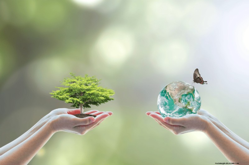 Voordelen van composteren:25 redenen om vandaag te beginnen | Bodemgezondheid en tuintips 